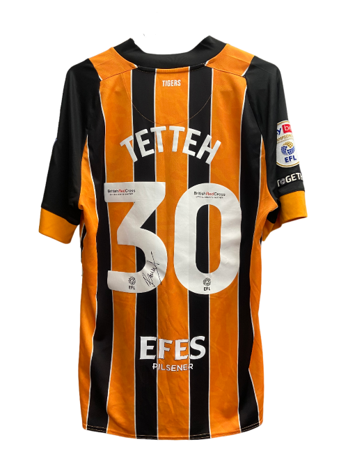 Together With Turkiye Match Worn Shirt 16