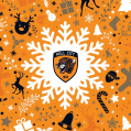 Christmas Snowflake