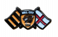 Crest Flag Pin Badge