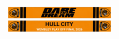 Dare To Dream Scarf