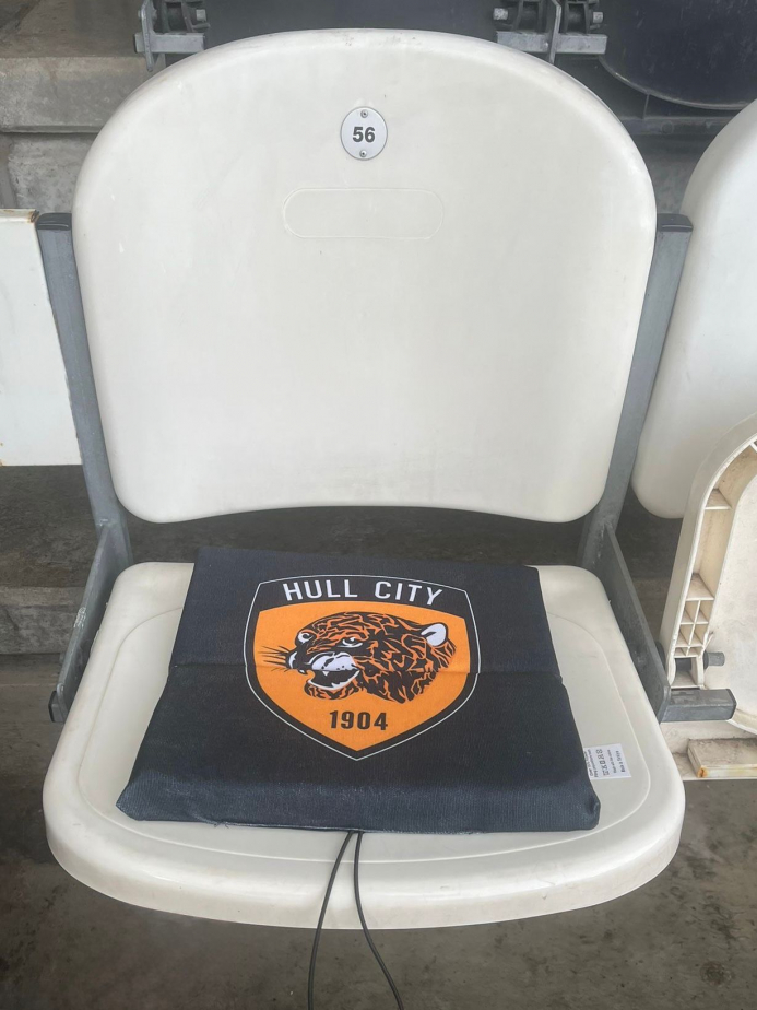 Stadium Seat Cushion