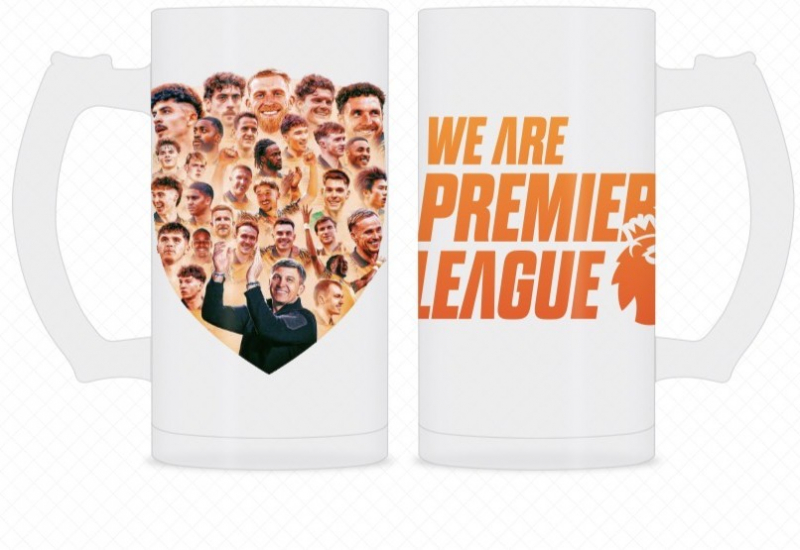 16oz Team Crest Stein