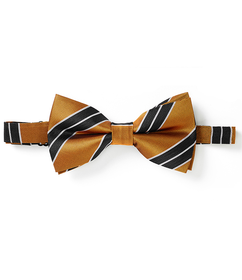 Bow Tie Silk